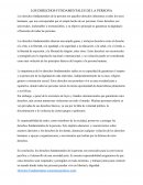 Los derechos fundamentales de la persona