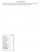 Números Fraccionarios