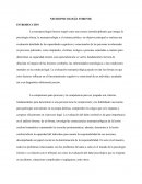 Neuropsicología Forense