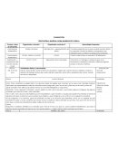 Planeación animales marinos