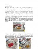 Estructuras bacterianas