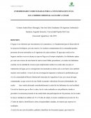 Consecuencias generadas por la incineración de Residuos
