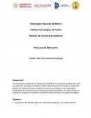 Reporte de inyectora de plásticos