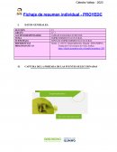 Tipos de emprendimiento cultural