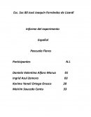 Informe del experimento Español