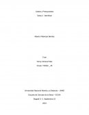 Costos y Presupuestos IPS Santa Marta