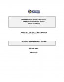 Recursos psicomotrices elaborados por materiales reciclados para fomentar un ambiente propicio para el aprendizaje interactivo y multisensorial.