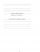 Definiendo el mercado meta