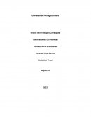 Gestión financiera y del riesgo financiero