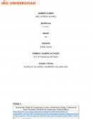 Fuentes de información