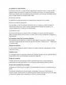 La sociedad y la ciudad industrial