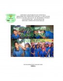 Informe inspección sanitaria