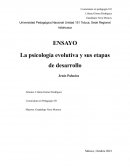 La psicología evolutiva y sus etapas de desarrollo