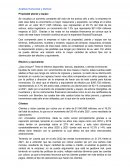 Análisis Horizontal y Vertica.l Propiedad planta y equipo