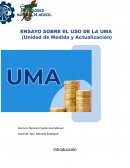 Ensayo sobre el uso de la UMA (Unidad de Medida y Actualización)