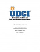 Adobe en Argentina y como se usa