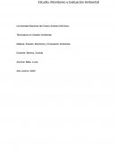 Práctico nº 3- Identificación de Impactos