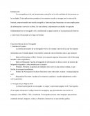 Operatividad de una red electónica de datos