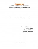 Principios y normas de la contabilidad