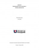 Responsabilidad social empresarial y sistemas constructivos