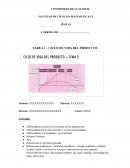 Tarea 1 – ciclo de vida del producto