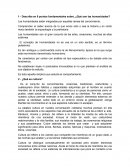 ¿Qué son las humanidades?