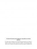 La promesa de contrato como obligación a materializar un contrato definitivo