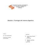Modulo I: Fisiología del sistema digestivo