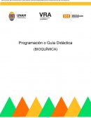 Programación o Guía Didáctica (Bioquímica)