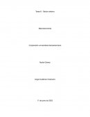 Actividad #4 De economia