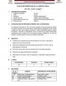 Plan de implementación de la campaña lúdica