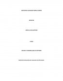 Analisis y desarrollado de software