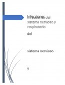 Infecciones del sistema nervioso y respiratorio