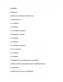 Tesis Diabetes Mellitus Tipo II