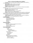 La ciencia económica de la empresa