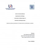 Reporte de práctica de laboratorio No.3 Determinación de carbohidratos y proteínas