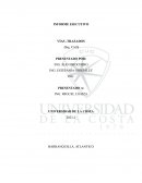 Informe ejecutivo Vías -Trazados