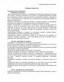 Paradigma Cognoscitivo