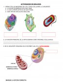 Actividades de biología