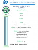 Reporte de Práctica de Laboratorio