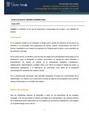 Cultura y cuidados. Posturas teóricas que sustentan la construcción de una antropología del cuidado