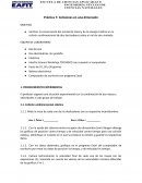 Práctica 7: Colisiones en una dimensión