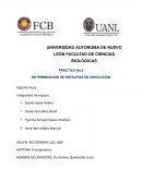 Práctica No.5, Determinación de entalpías de disolución