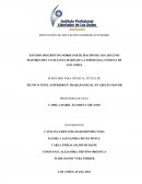 Tesis técnico trabajo social gestión adullto mayor