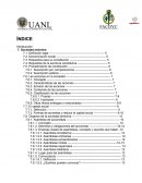 Tema 7-Sociedad anónima