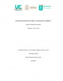 Ensayo sociología general y sociologia juridica