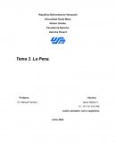 Desarrollo de la pena en Venezuela