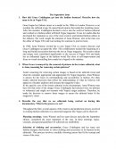 Fashion styling and production