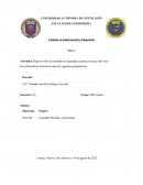 Reporte sobre las medidas de seguridad y protección que debe usar el profesional de enfermería ante las urgencias psiquiátricas