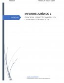 Derechos constitucionales de naturaleza del Ecuador